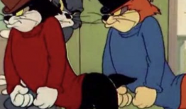 老鼠短视频下载,轻松获取萌鼠瞬间